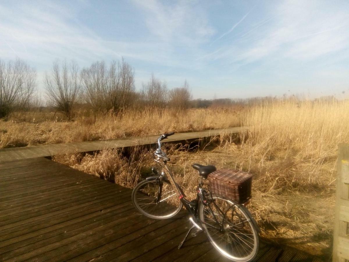 B&B De Stuifduinen Wetteren Exterior foto